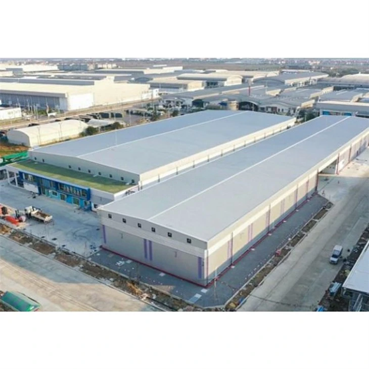 Steel Frame Multi Buildings